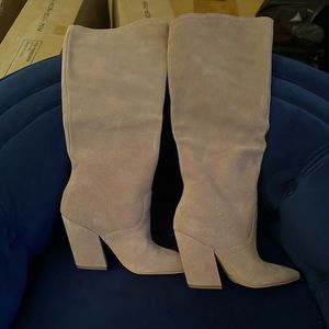 A beautiful pair of Dolce Vida boots!